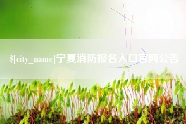 安宁宁夏消防报名入口官网公告