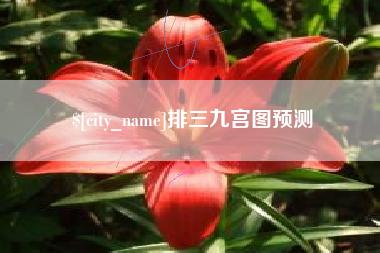 安宁排三九宫图预测