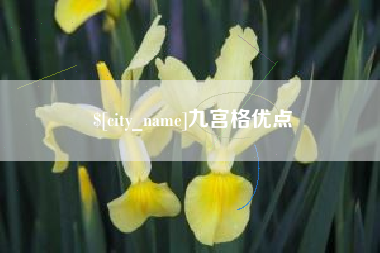 安宁九宫格优点