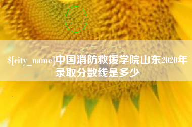 安宁中国消防救援学院山东2020年录取分数线是多少