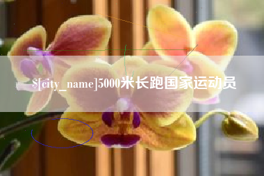 安宁5000米长跑国家运动员