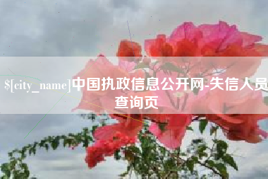 安宁中国执政信息公开网-失信人员查询页