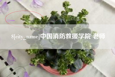 安宁中国消防救援学院 老师
