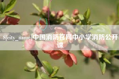 安宁中国消防官网中小学消防公开课