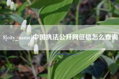 安宁中国执法公开网征信怎么查询