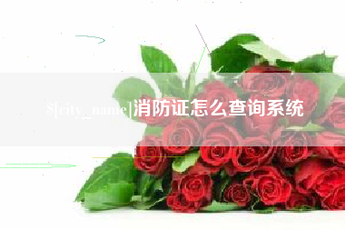 安宁消防证怎么查询系统