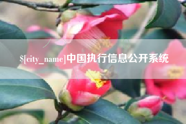 安宁中国执行信息公开系统