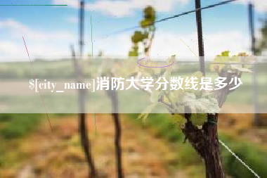 安宁消防大学分数线是多少