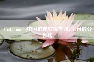 安宁中国消防救援学院2019录取分数线