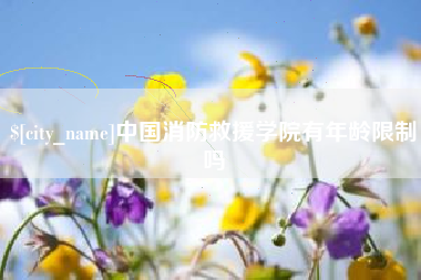 安宁中国消防救援学院有年龄限制吗