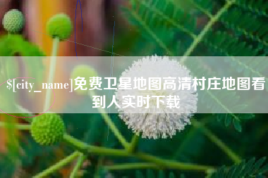 安宁免费卫星地图高清村庄地图看到人实时下载