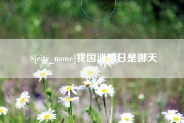 安宁我国消防日是哪天
