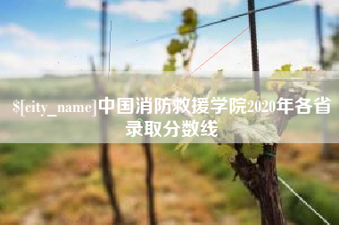 安宁中国消防救援学院2020年各省录取分数线