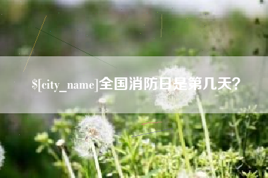 安宁全国消防日是第几天？