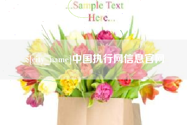 安宁中国执行网信息官网