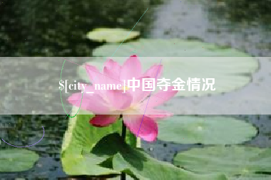 安宁中国夺金情况