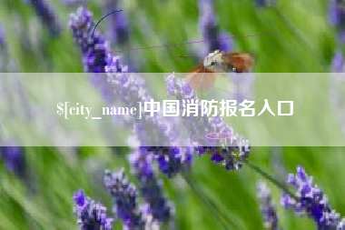安宁中国消防报名入口