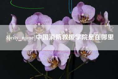 安宁中国消防救援学院是在哪里