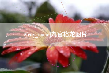 安宁九宫格龙图片