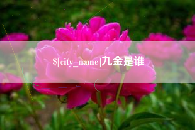 安宁九金是谁