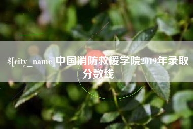 安宁中国消防救援学院2019年录取分数线