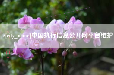 安宁中国执行信息公开网平台维护