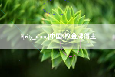 安宁中国9枚金牌得主