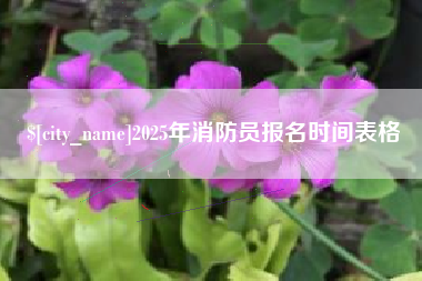 安宁2025年消防员报名时间表格