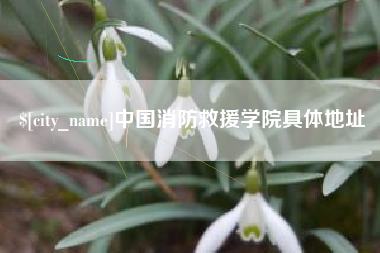 安宁中国消防救援学院具体地址