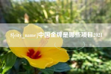 安宁中国金牌是哪些项目2021
