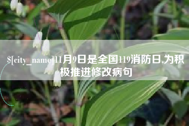 安宁11月9日是全国119消防日,为积极推进修改病句
