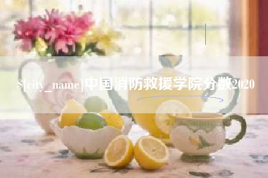 安宁中国消防救援学院分数2020