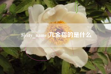 安宁九金指的是什么