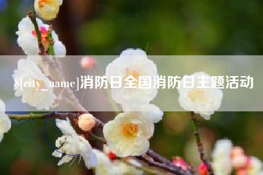 安宁消防日全国消防日主题活动