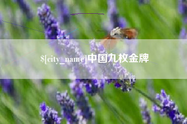 安宁中国九枚金牌