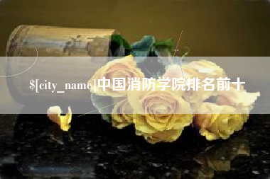 安宁中国消防学院排名前十