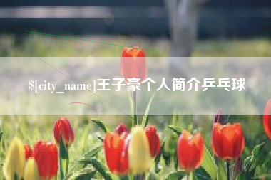 安宁王子豪个人简介乒乓球