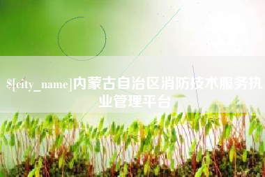 安宁内蒙古自治区消防技术服务执业管理平台