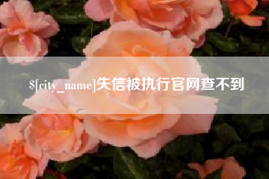安宁失信被执行官网查不到