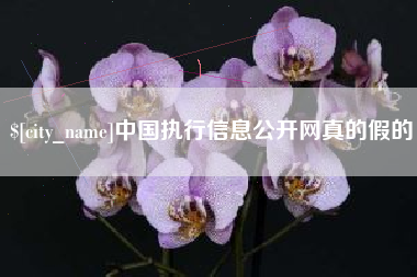 安宁中国执行信息公开网真的假的