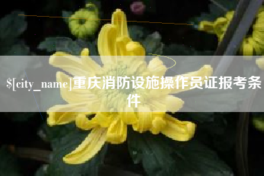 安宁重庆消防设施操作员证报考条件