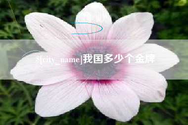 安宁我国多少个金牌