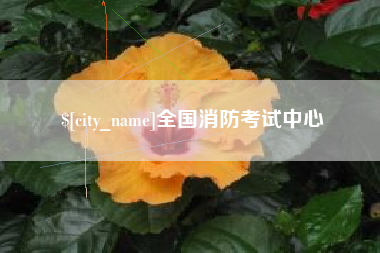 安宁全国消防考试中心