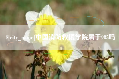 安宁中国消防救援学院属于985吗