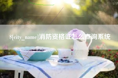 安宁消防资格证怎么查询系统
