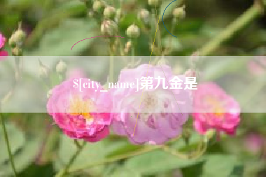 安宁第九金是