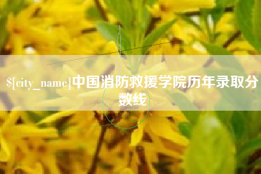 安宁中国消防救援学院历年录取分数线