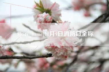 安宁11月9日消防日全称