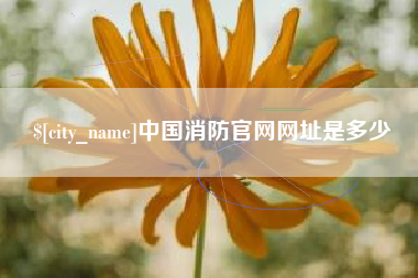 安宁中国消防官网网址是多少