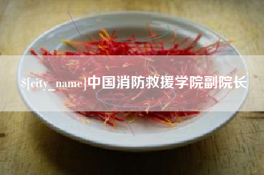 安宁中国消防救援学院副院长